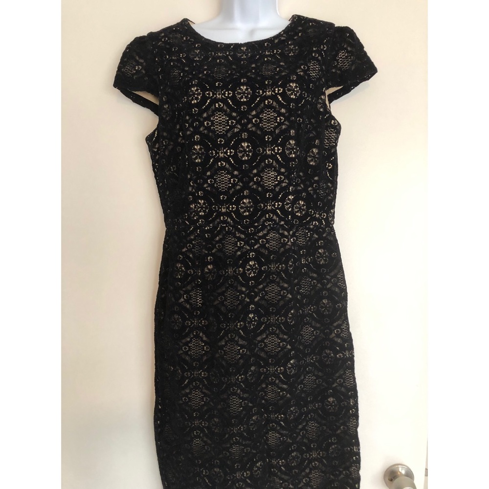 Betsy Johnson midi velvet lace dress size 10